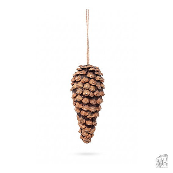 1141205.jpg