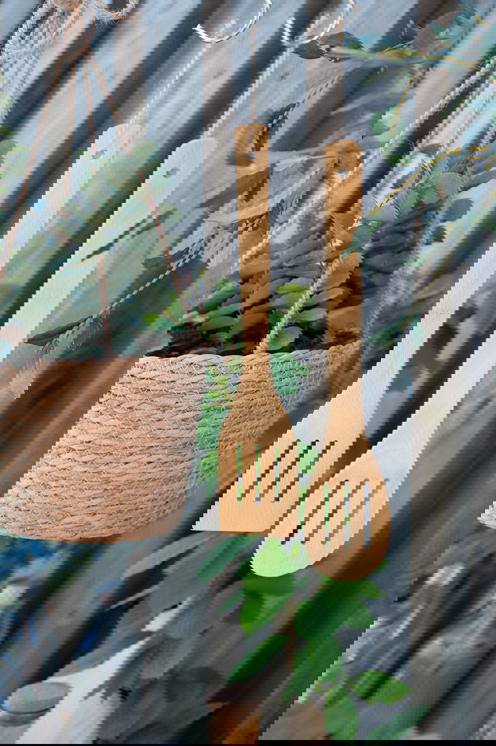 24144040_24144041_miljo01