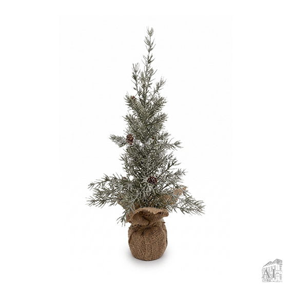 25651023
