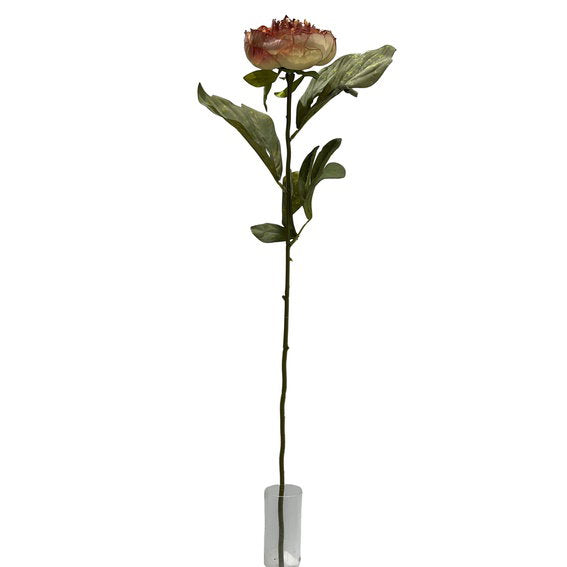 27704002.jpg