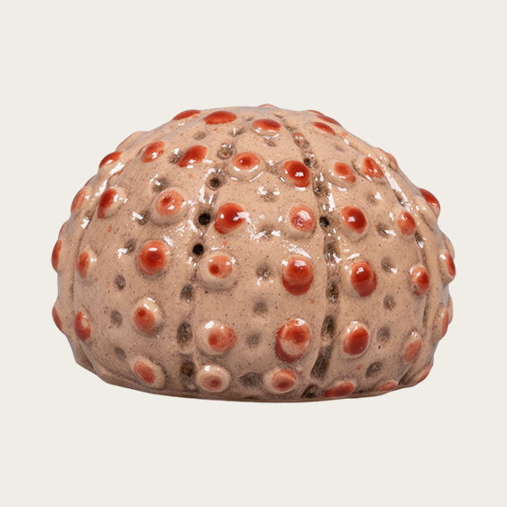 83004254.jpg
