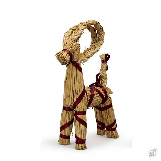 13101549.jpg