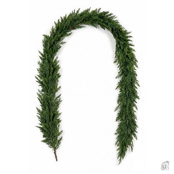 14581419.jpg