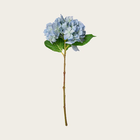 14584091.jpg