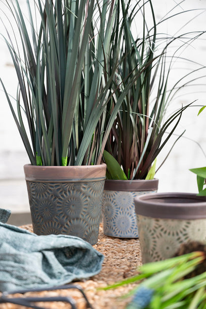 22624004_22624025_miljo01