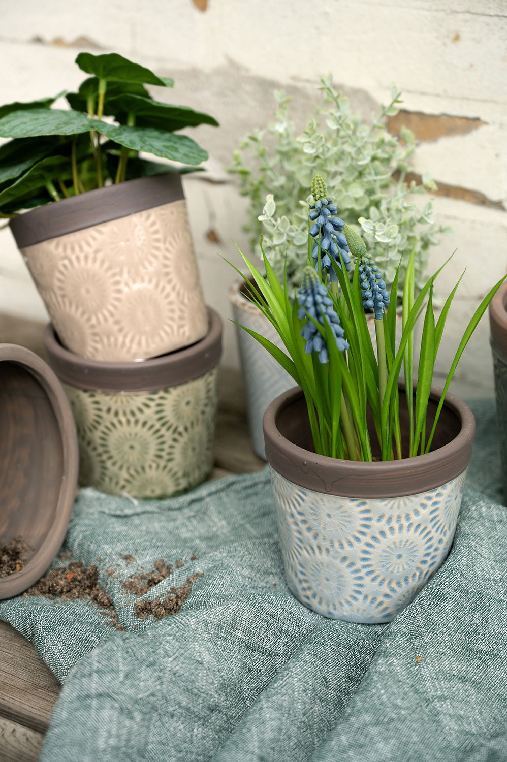 22624025_22624026_22624013_miljo01