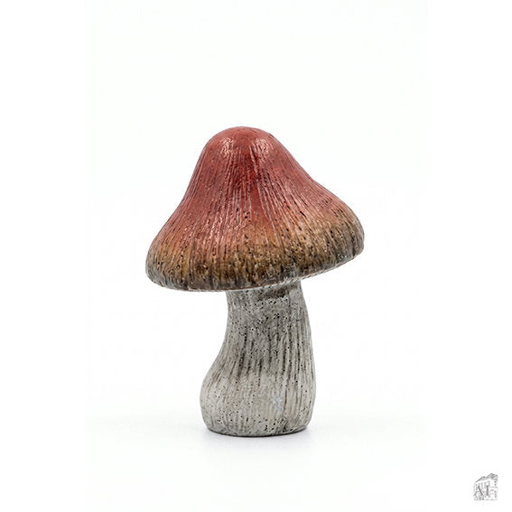 27551043.jpg