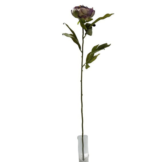 27704000.jpg