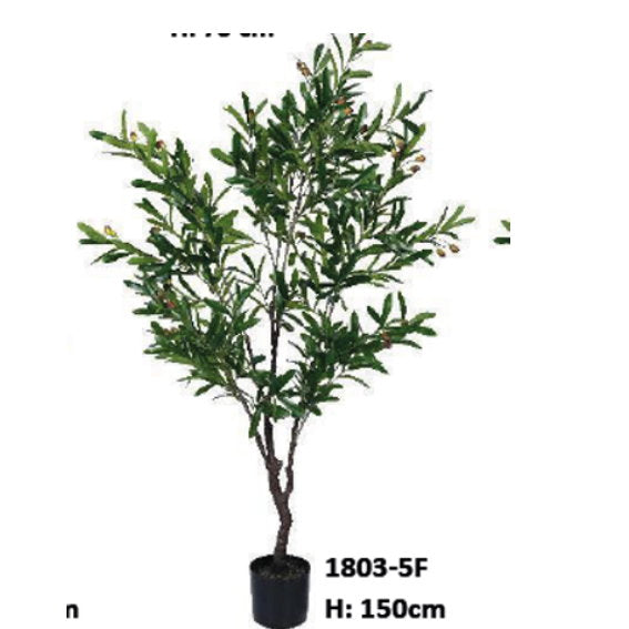 30504000.jpg